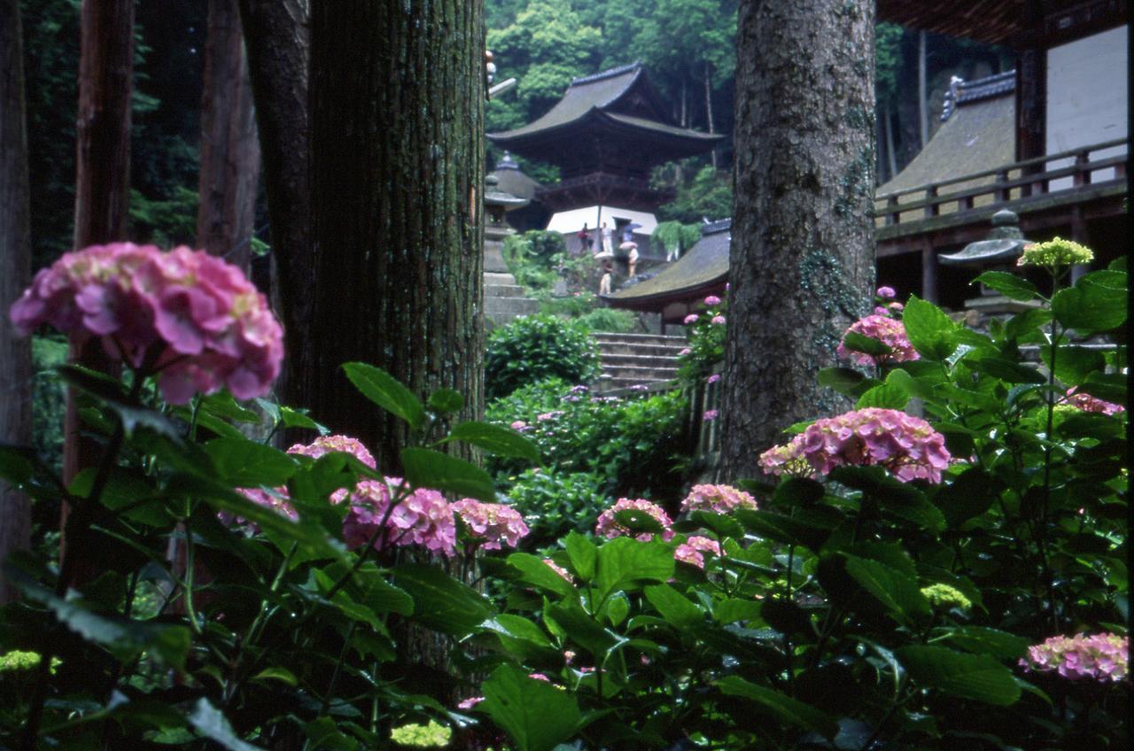 Kitabiwako Hotel Grazie Nagahama  Exterior foto